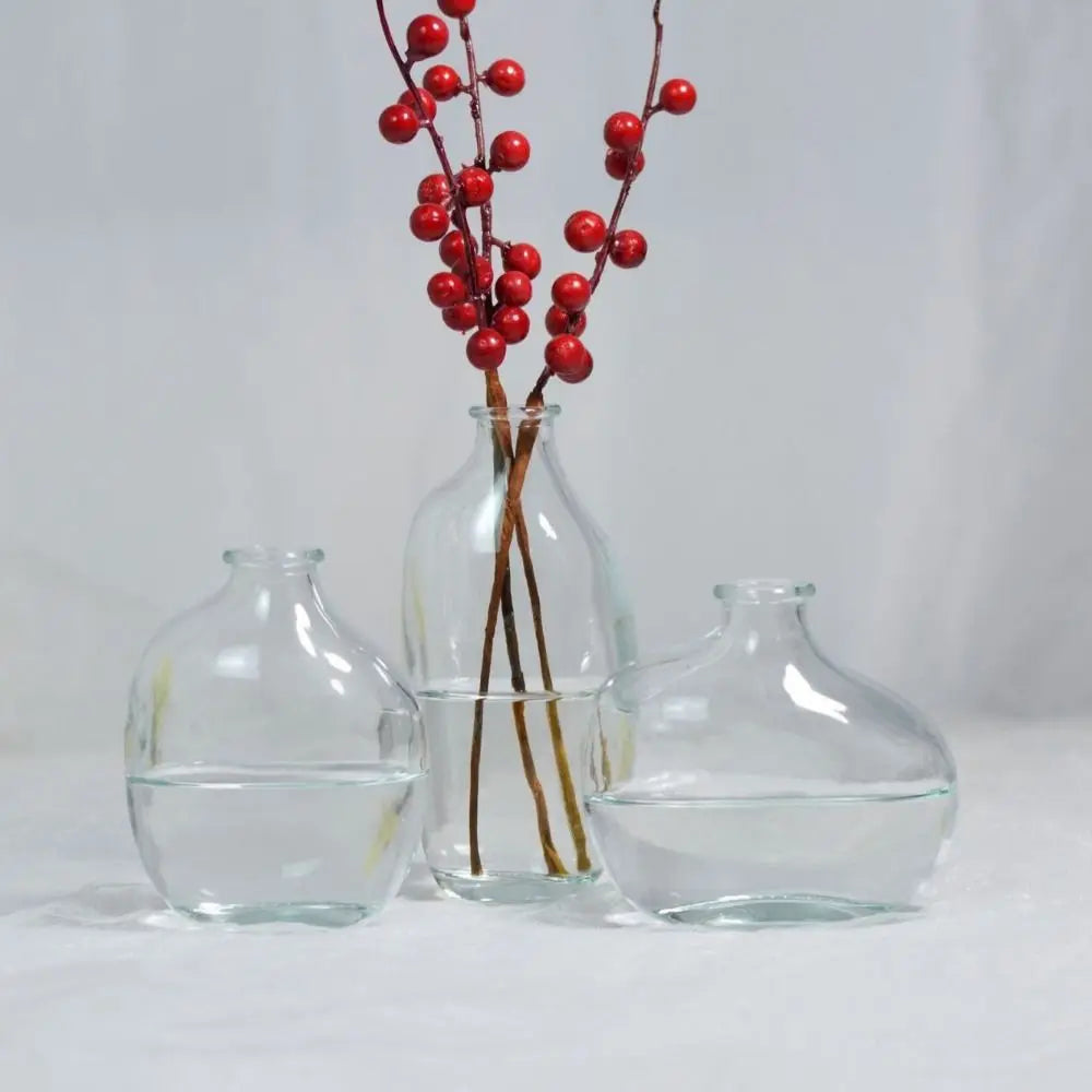 Three clear glass vases with red berries on a white background. Boho Home Decor.