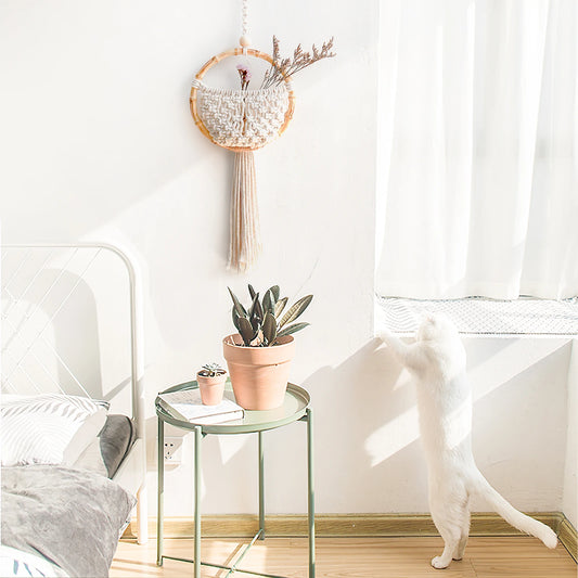 Small round glass table with a potted plant and decorative items in a room with a white wall and cat.